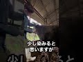 【牛の耳に穴が】耳標が取れてました