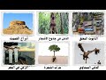أغرب طرق دفن الموتى حول العالم