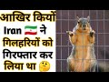 Top 10  facts in hindi  amazing facts  random facts  shortsshort youtubeshorts anandfacts