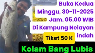 Download Lagu Kolam Bang Lubis, ikan Siakapnya sesuai harapan pemancing#MKtv mancing Kolam MP3