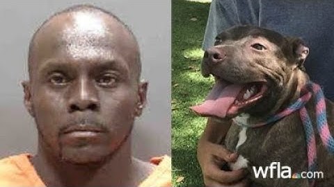 Man charged after dog found abandoned in gas station dumpster