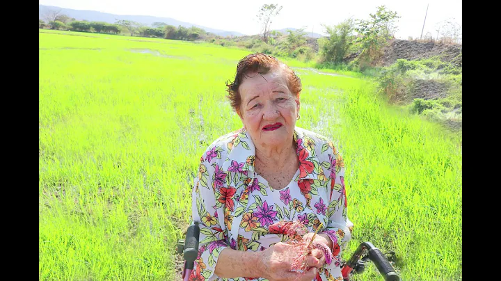 Sra. Elvira Paredes