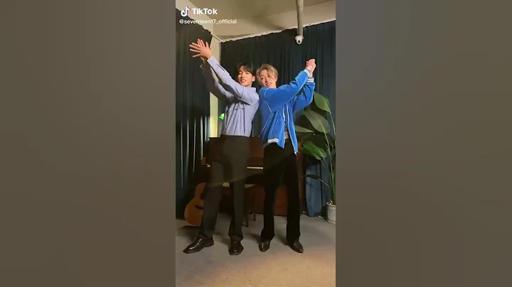 210417 SEVENTEEN DK & THE 8 TikTok Update