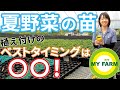 夏野菜の苗の植え付け時期って、結局いつがベストなの？│かっちゃんの有機栽培ｺｰｻﾞ