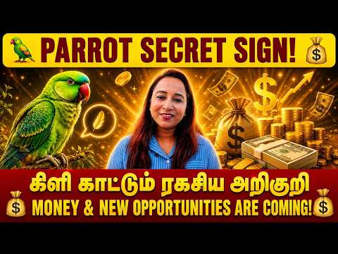 ✨The Secret Sign Shown by the Parrot! Money Flow & New Opportunities in the Next 24 Hours | Angel...