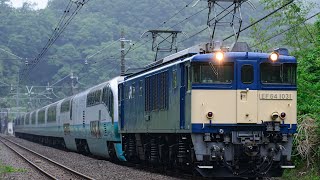 配9439レ EF64-1031+251系RE-2編成 NN配給