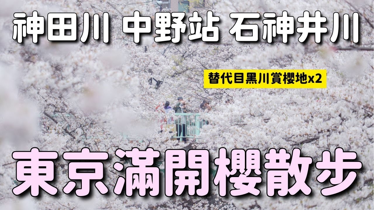 東京櫻花🌸 目黑川大修剪不壯觀可去哪？神田川面影橋 中野站天橋西武電車櫻花 石神井川｜日本旅遊 4K VLOG