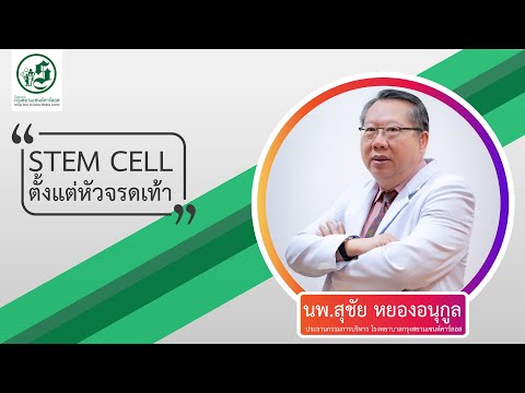 "STEM CELL ตั้งแต่หัวจรดเท้า" โดย นพ.สุชัย หยองอนุกูล