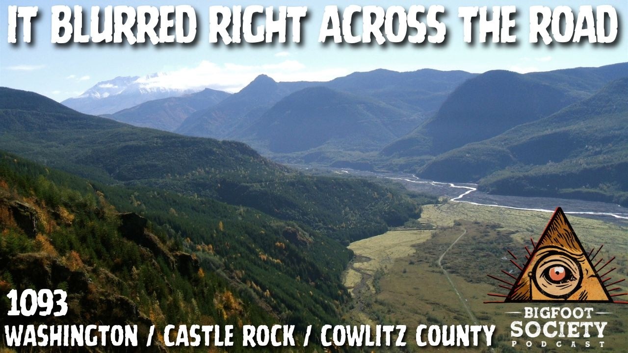 What We Saw on Tower Road Still Doesn’t Make Sense! | Washington | Bigfoot Society 1093