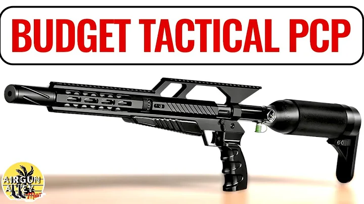BUDGET ‘TACTICAL’ PCP AIR RIFLE (by Pinty)