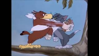 Tom Ve Jerry, 21.Bölüm - Birdy Ile Flört 1945 Türkçe Çizgi Film