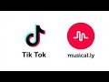 Best of Tik Tok and Musical.ly 2018 Challenges Compilation