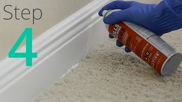 How to Get Rid of Bed Bugs, Step 4 / 4: Spray & Powder Cracks & Crevices