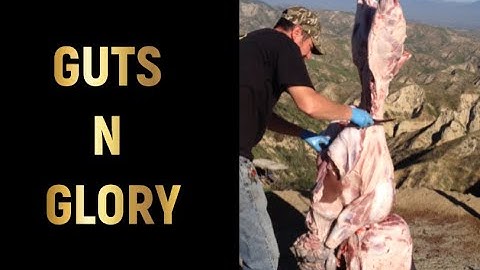 Hoe je op een gemakkelijke manier een wild varken kunt villen