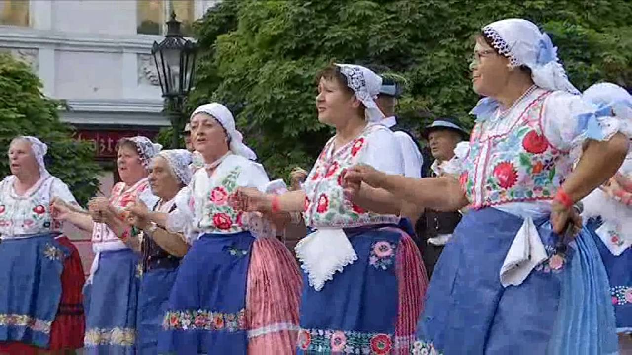 A Matica slovenská országos ünnepsége városunkban