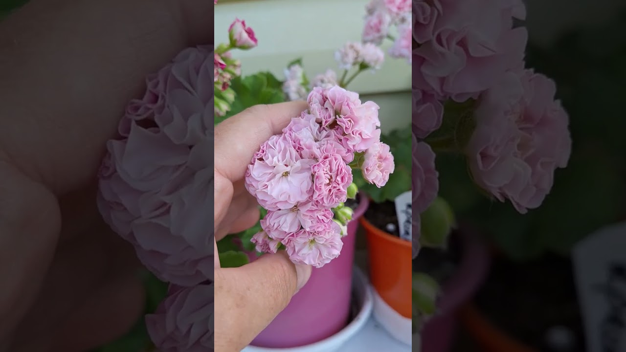 обзорчик 8 июля 2024