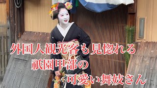 外国人観光客も見惚れる祇園甲部の可愛い舞妓さん Maiko in Gion, Kyoto 【4K】 2024/1月