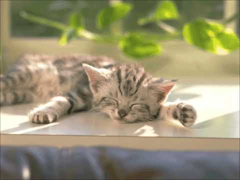 わたしはこねこ・アルト（MIDI）