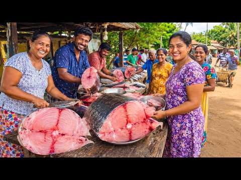 Wow! Sri Lanka Market Thermal Mastery Storing Catch Under Heavy Sun Villagers Life