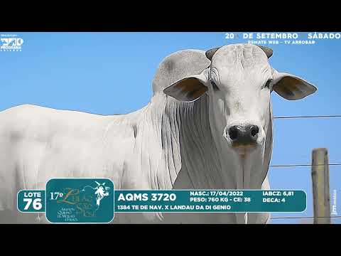 LOTE 76   AQMS 3720