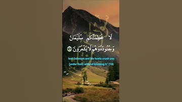 قرأن_كريم #سورة النمل رعد الكردي#الا بذكر الله تطمئن _القلوب #quran #islamic status short