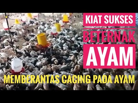 Video: Apakah Itu Nematod Pin – Menguruskan Gejala Nematod Pin