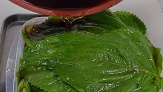 1타3피 깻잎장아찌 마늘장아찌 양파장아찌 3가지맛을 한번에#집밥 #장아찌 #제철음식 #레시피 #요리 #koreanfood 