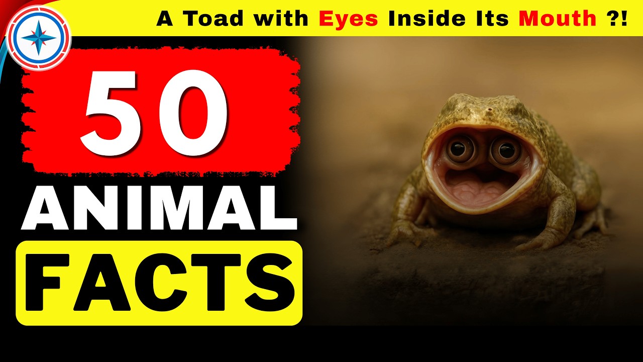 Странные факты о животных, о которых вы никогда раньше не слышали