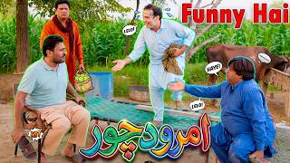 Rana Ijaz Amrood Chor Funny Video | Rana Ijaz New Funny Video | Standup Comedy By Rana Ijaz