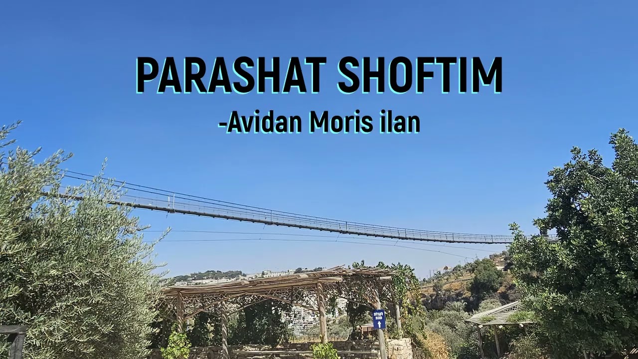 PARASHAT SHOFTIM - Menakhem Av ni 5 Kum 5785