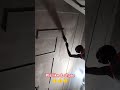 trending celing pop design