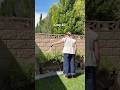 MY FIRST CHAOS GARDEN🪻PART 5 UPDATE trimming them all down and starting over… #chaosgardening