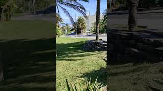 VID 20230306 104457