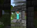 This Minecraft Players isn't real? 😱