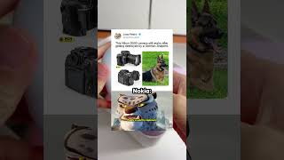 This Nikon D500 camera still works aftergetting destroyed by a German Sheperd.
