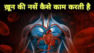 रक्त वाहिकाएं कैसे काम करती हैं - anatomy of blood vessels in hindi