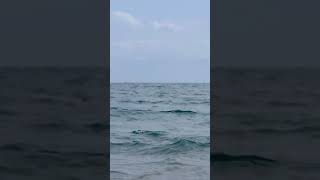 785 1020812 mp3