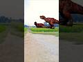 Dinosaurs mating #dinosaurs #mating #shortsviral #shortsfeed #trending #short