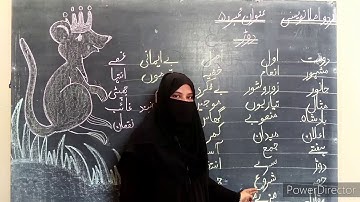 Class 2 - Urdu Dictation - Assignment for Copy # 05 - HSS