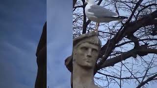 Black Sea - ...GoodBye