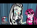 Monster High™ 💜 Party Planners 💜 Cartoons for Kids