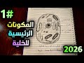 رسم المكونات الرئيسية للخلية للصف الاول متوسط الفصل الثالث ص 28 