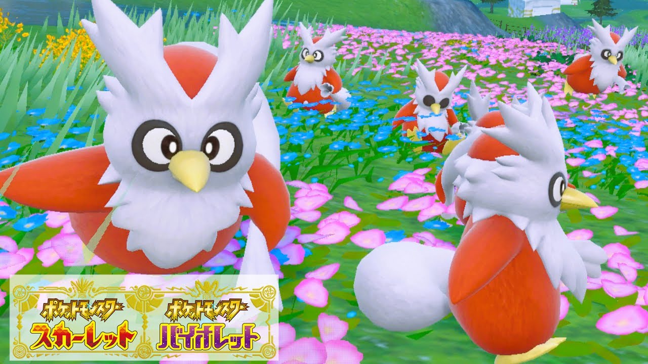 可愛い】デリバード6匹に囲まれて癒されピクニック【ポケモンSV