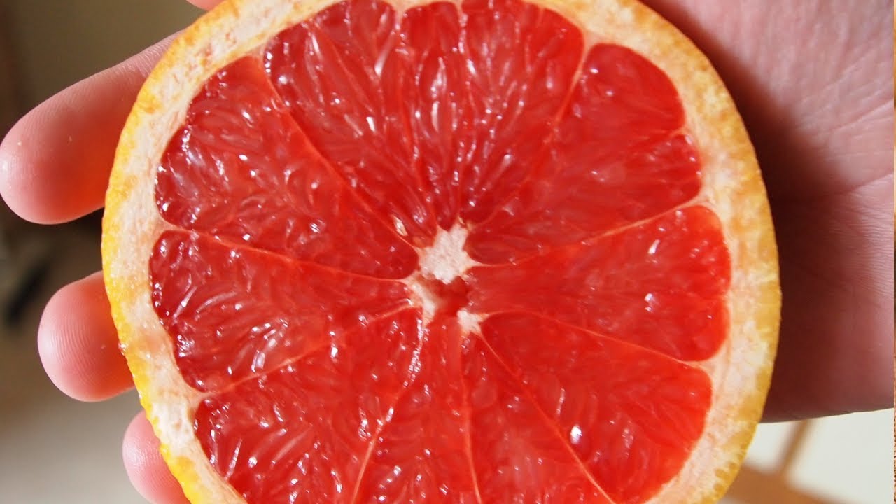 grapefruit csepp belfereg