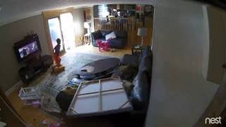 Amazing!!! Crazy DEER crashes into a living room wall