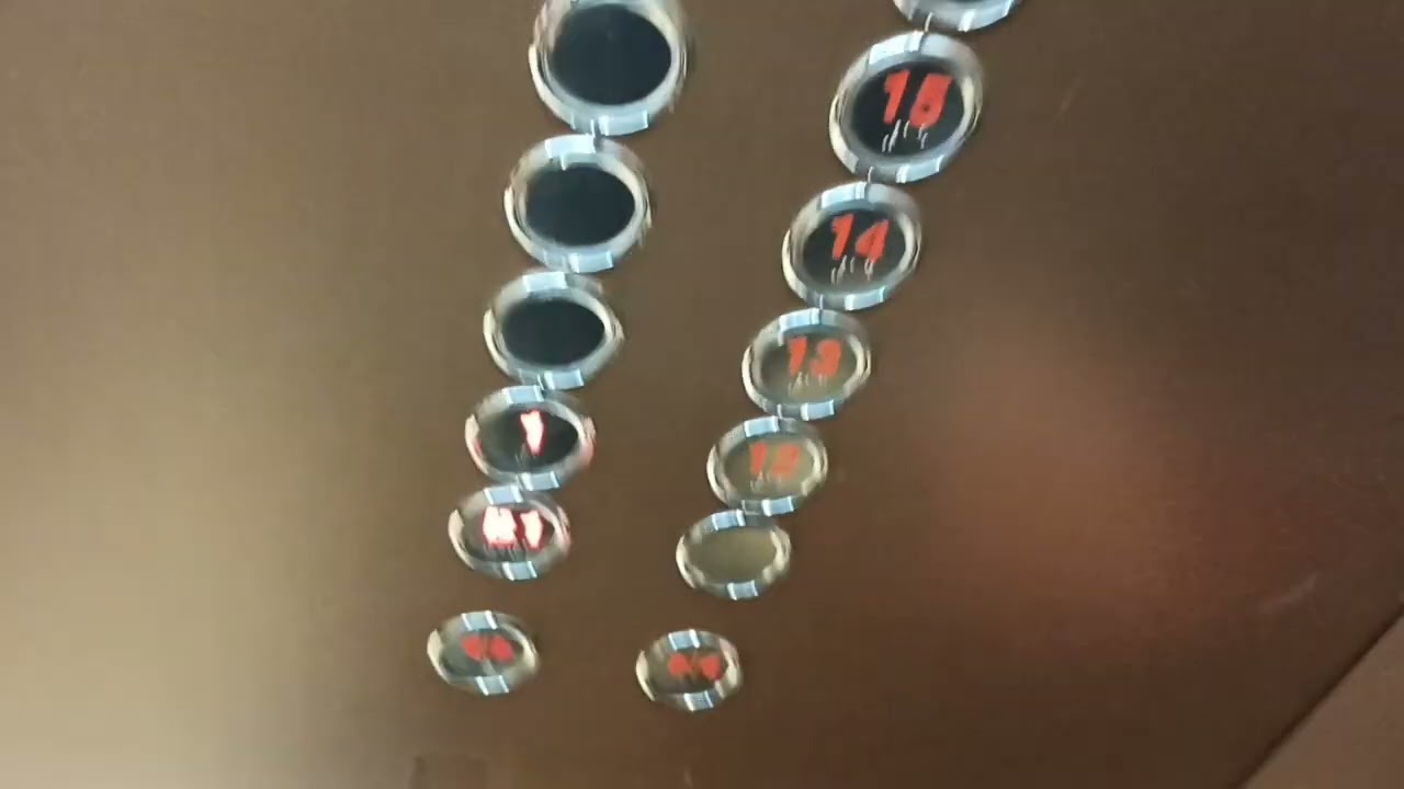 홍천 비발디파크 소노벨 B동 엘리베이터  7