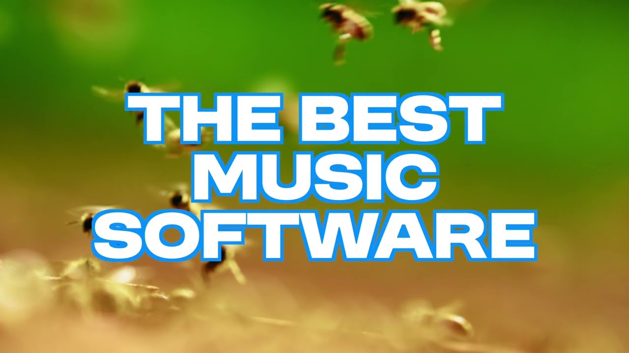 Скидки на аудиоплагины в Чёрную пятницу 2025 года — 18 грандиозных предложений! 