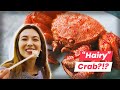 Must Try Winter Foods in Northern Japan: Sapporo Food Tour