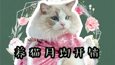 你知道养一只猫需要多少开销嘛？仙男布偶猫教你科学养宠！ - 天天要闻