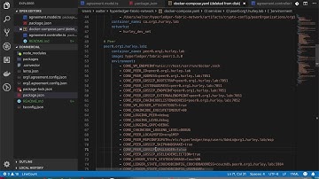 Hyperledger Fabric Tutorial - Building with Convector: Part 4 Common Tasks